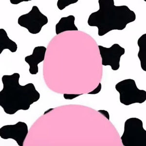 Meet your Posher, Katia